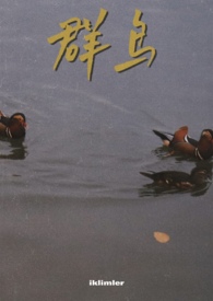 群鸟飞过湖面静态描写